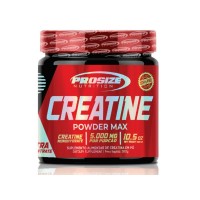 CREATINA PURA PROSIZE EM PO 300G IMPORTADA