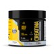 KIT WHEY PROTEIN POTE 900G PRE TREINO + CREATINA 150G C/ THERMO ABDOM E COQUETELEIRA