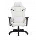 Cadeira Gamer Reclinavel 4D Giratoria Apoio Braços Branco