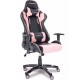 Cadeira Gamer Xperience Reclinavel Apoio Braços Ajustavel