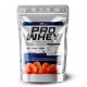 Whey Protein Concentrado Puro Pro Healthy 1Kg Refil