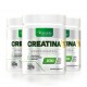Kit 3 Creatina Monohidratada Zero Micronizada 250g