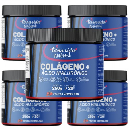 https://loja.ctmd.eng.br/106482-thickbox/kit-5-colageno-com-acido-hialuronico-pote-250g.jpg