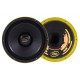 Alto Falante Medio e Grave Eros 500W 10 Pol Preto Amarelo