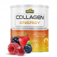 Colageno Pre treino Q10 CoQ10 Complexo B Beta Alanina Coenzima Pote 250g