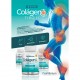 Colageno 40mg Tipo 2 Premium 60 Capsulas Dose Clinica