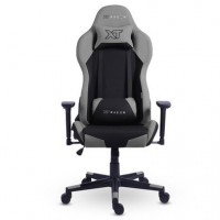 Cadeira Gamer Xt Racer Reclinavel 3D Almofadas Apoio Bra&ccedil;os Preto e Cinza