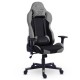 Cadeira Gamer Xt Racer Reclinavel 3D Almofadas Apoio Braços Preto e Cinza