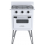 FOGAO DE PISO PORTATIL VENAX 2 BOCAS GAS GLP