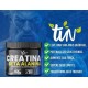 Suplemento Creatina Monohidratada Beta Alanina Natural Pote 150g
