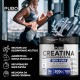 Creatina Pura MonoHidratada Sem Sabor Nutrition Pote 300g