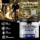 Creatina Pura MonoHidratada Sem Sabor Nutrition Pote 300g
