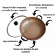 Panela Frigideira Redonda Wok 6L Antiaderente Tampa Vidro