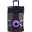 Caixa de Som Amplificada TRC 300w USB FM Tweeter DJ Pro Mixer  