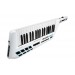 TECLADO KEYTAR CONTROLADOR SEM FIO ALESIS 