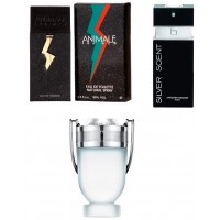 COMBO COL&Ocirc;NIA INVICTUS + ANIMALE + SILVER - MASCULINO