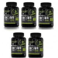 SUPLEMENTO BCAA ULTRA CONCENTRADO 240 CAPS - 05 UND