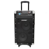 CAIXA DE SOM AC&Uacute;STICA SURROND Eterny + MICROFONE SEM FIO