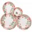 JOGO DE JANTAR SAMMY CERAMICA - C/ 30 PC - ESTAMPADO