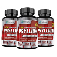 KIT 3 SUPLEMENTO PSYLLIUM HEBALMA - 120CAPS CONCENTRADO 
