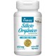 SILICIO ORGANICO TIAJARU 450MG - C/ 60 CAPSULAS 