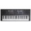 TECLADO MUSICAL 61 TECLAS BIVOLT SPRING 300 TIMBRES  - PRETO