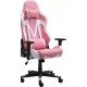 CADEIRA GAMER XT RACER RECLINAVEL GIRATORIA C/ APOIO PARA BRAÇO
