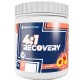 RECOVERY 4:1 900G ENDURANCE SERIES NEWNUTRITION