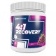 RECOVERY 4:1 900G ENDURANCE SERIES NEWNUTRITION