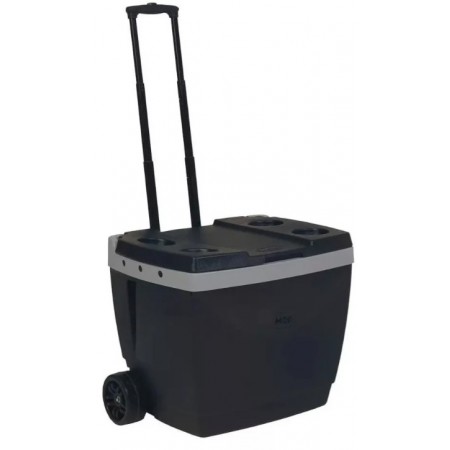https://loja.ctmd.eng.br/92633-thickbox/caixa-termica-cooler-42l-c-rodinhas-preta.jpg