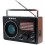 RADIO RETRO PORTATIL LIVSTAR AM/FM C/ USB SD ALÇA