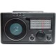 RADIO RETRO PORTATIL LIVSTAR AM FM C/ USB SD ALÇA