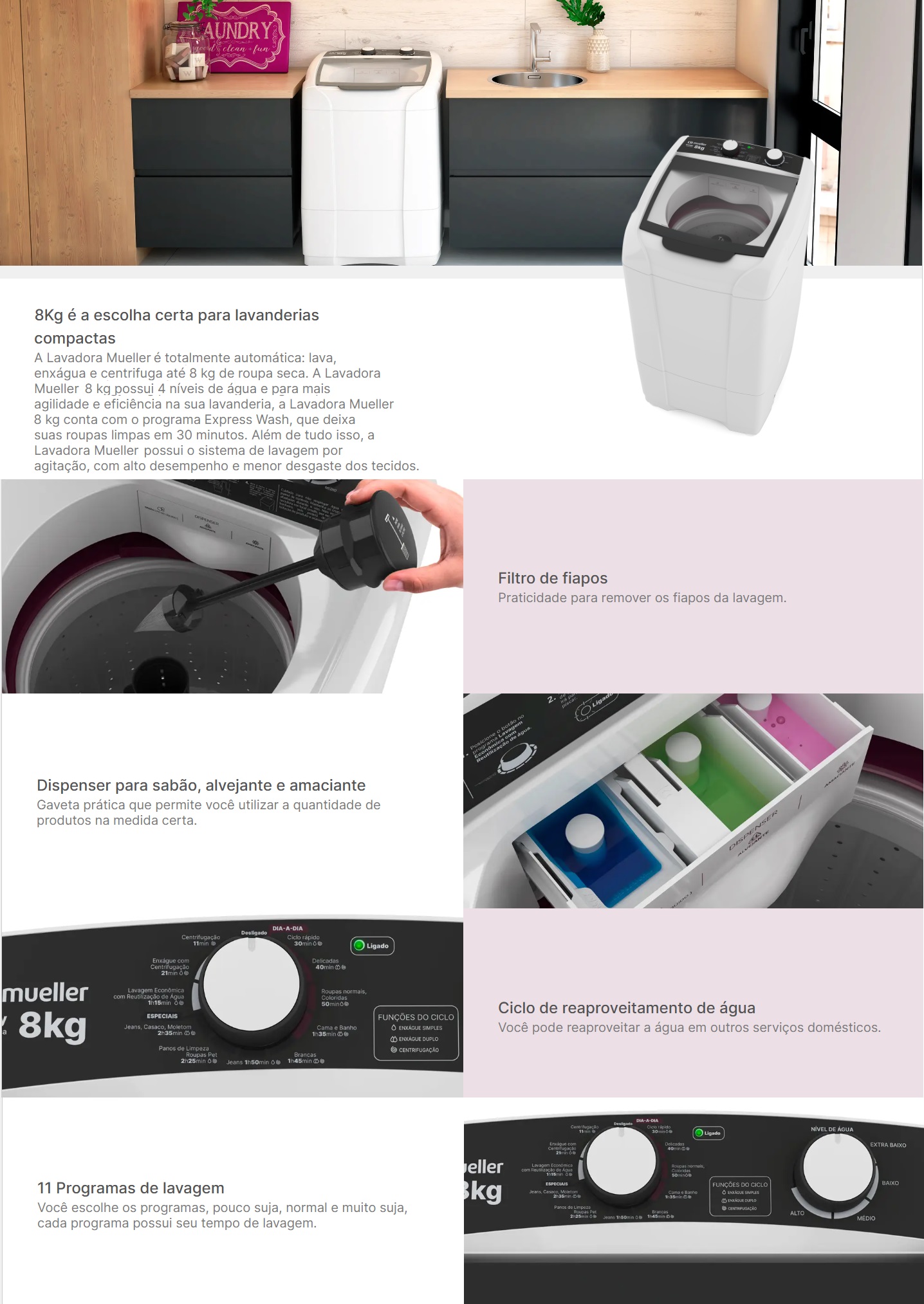 Tanquinho Colormaq 6Kg Timer 5 Programas Lavagem Prata Ecomax